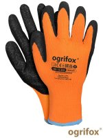 OX-WINORT PB