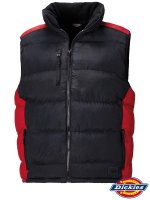DK-GILET BC
