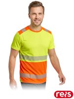 IGUANA-TS YP